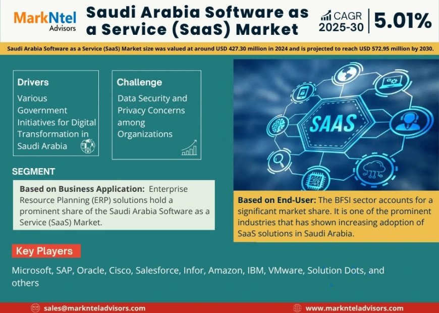 Saudi Arabia Software as a Service (SaaS) Market Overview 2025–2030: Share, Size & Future Trends