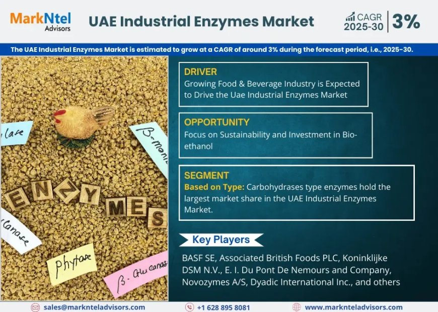 UAE Industrial Enzymes Market Overview 2025–2030: Share, Size & Future Trends