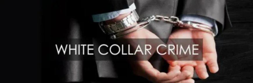 Understanding White Collar Crime and Finding the Right Lawyer in San Diego