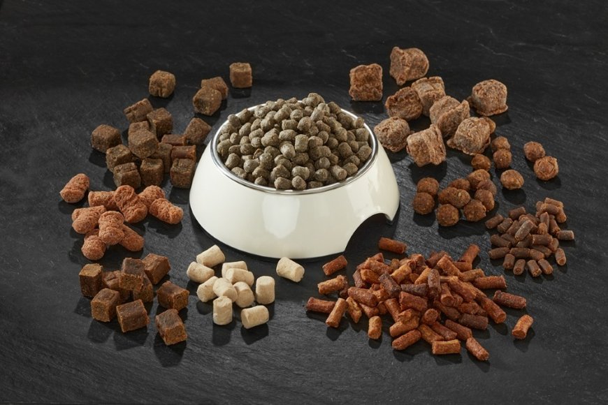 Pet Food Manufacturing Plant Report 2025- Detailed Project Setup Requirements