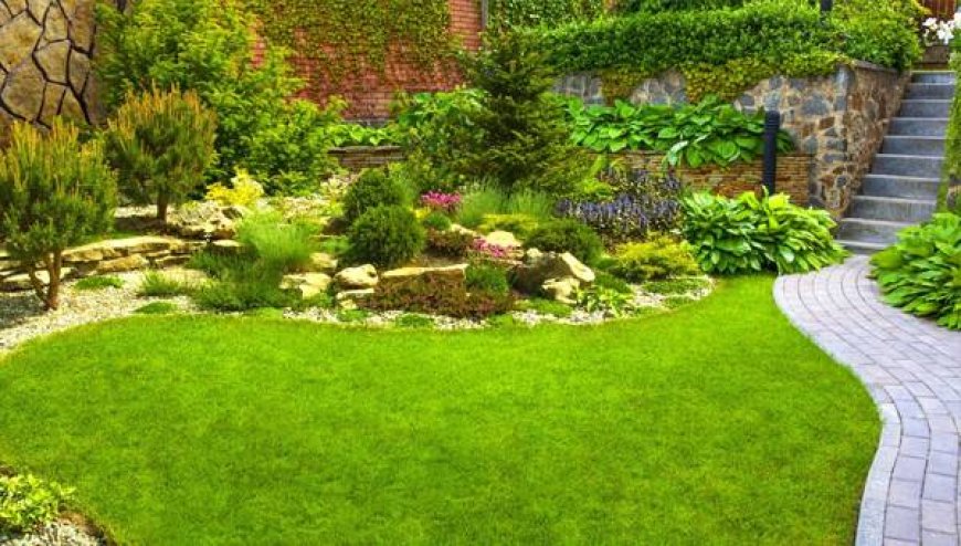 Transform Your Outdoor Space with Professional Artificial Grass Installation